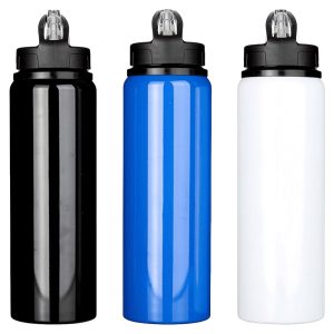Fitz Recycled Stainless Steel Drink Bottle 800ml