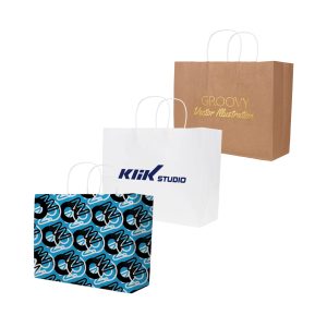 Twisted Handle Kraft Paper Bag(320x250x120mm)