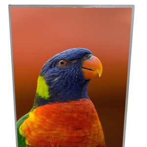 Light Boxes -Slimline Light Box A4