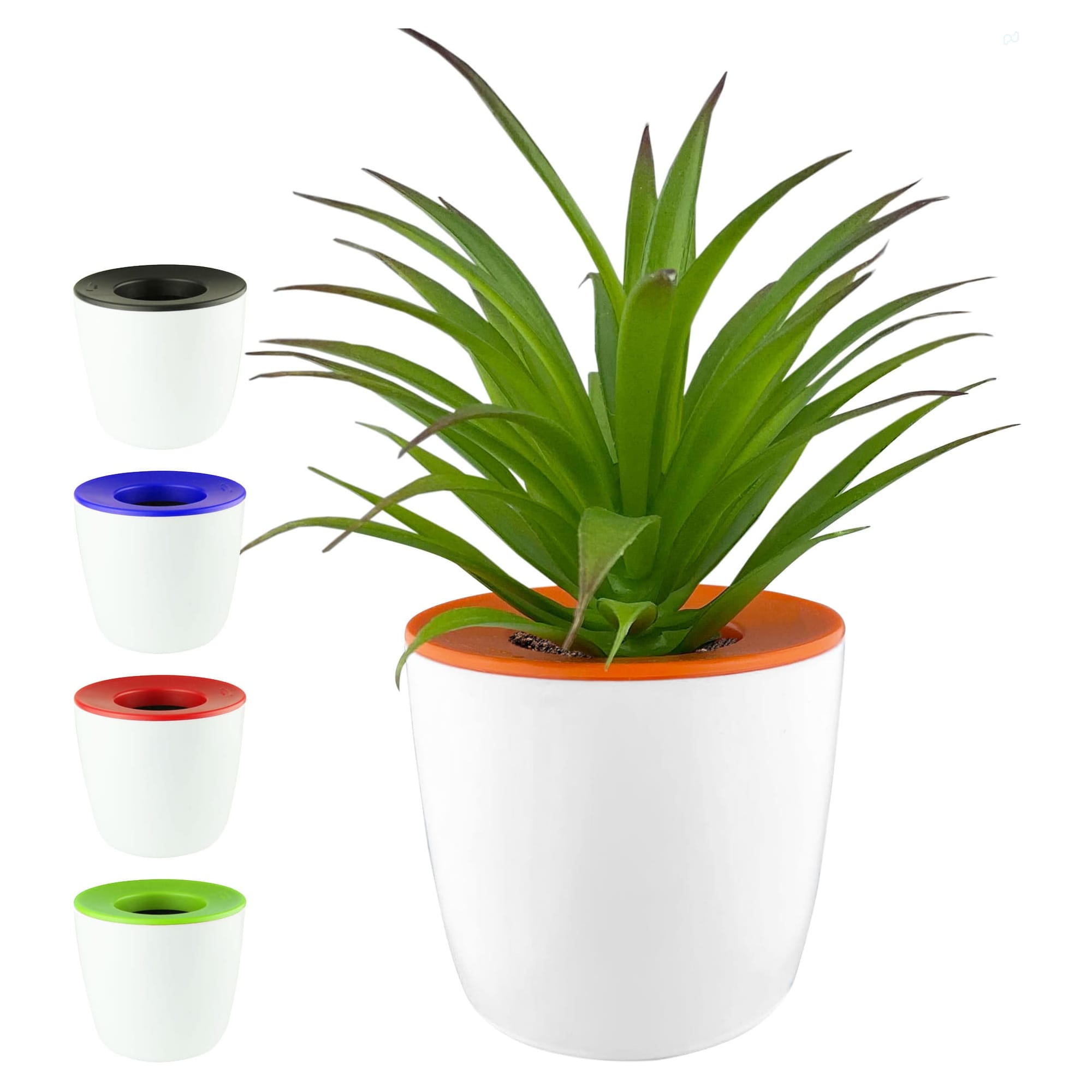 A white mini desk plant pot with a vibrant orange top, featuring a green plant. Includes additional pots in black, blue, and green. Mini Desk Plant Pot - Image 1