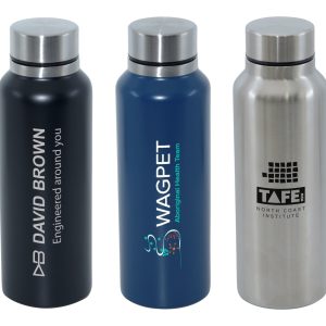 Parisian 750ml Stainless Steel Bottle