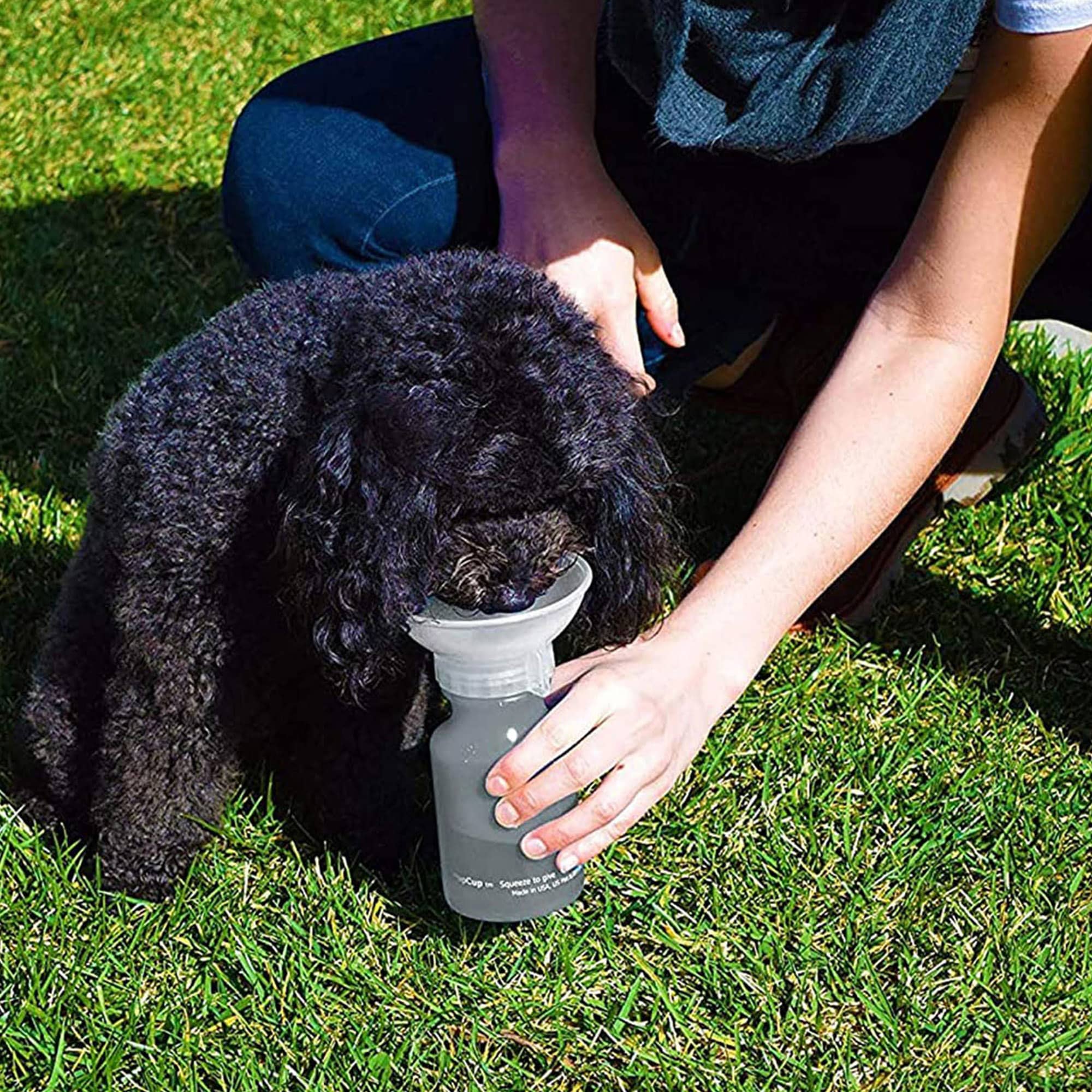 A drink bottle with a grey body and a detachable, dog-friendly cup on top, held by a person on grass. AutoPupCup - Image 1