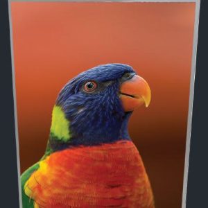 Light Boxes -Slimline Light Box A3
