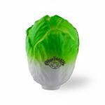 Stress Cabbage
