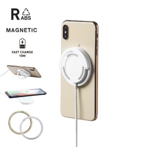 Dixlem RCS Charger