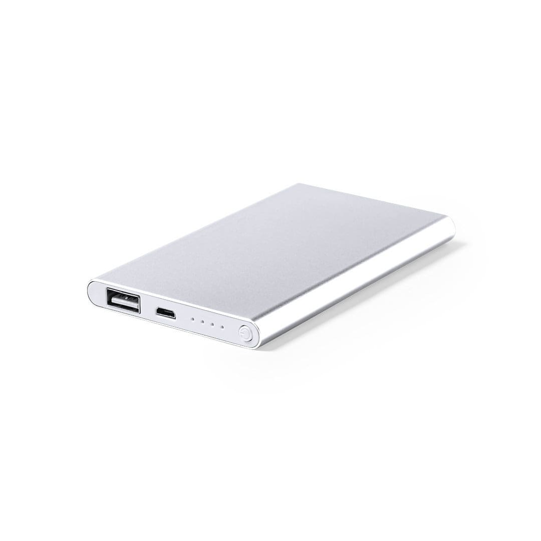 A silver power bank with a USB and a USB-C port, featuring an indicator light and a sleek design. Blaus Power Bank - Image 1