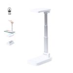 Cirgux Multifunction Lamp