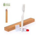 Dental Kit Set