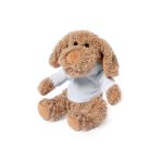 Chamox Teddy