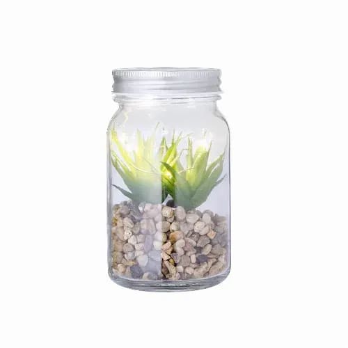 A glass jar containing a small artificial plant and pebbles, with a light source enhancing the greenery. Kyala - Image 1