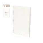 Bitar Seeds Notebook