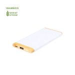 Coquin Power Bank