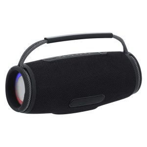 Digby Speaker