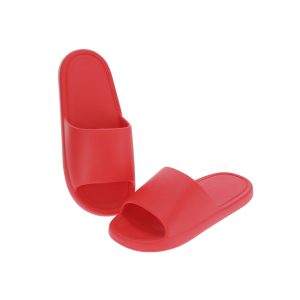 Ridel Flip Flops