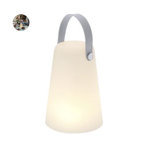 Tuxfan Lamp