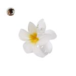 Tixcon Hair Clip