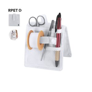 Kocis Nursing Organizer