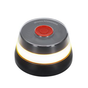 Pylon Geolocated Emergency Light V16