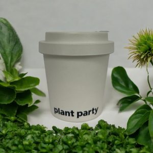300ml Bamboo Coffee Cups (Hard Lid)