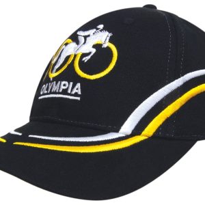 Brushed Heavy Cotton with Curved Embroidery on Crown and Peak