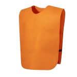 Cambex Vest