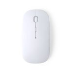 Lyster Mouse