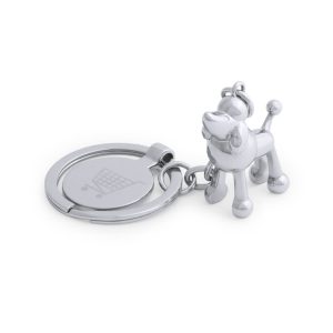 Hoinzo Keyring Coin