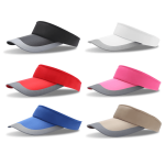 Sun Visor