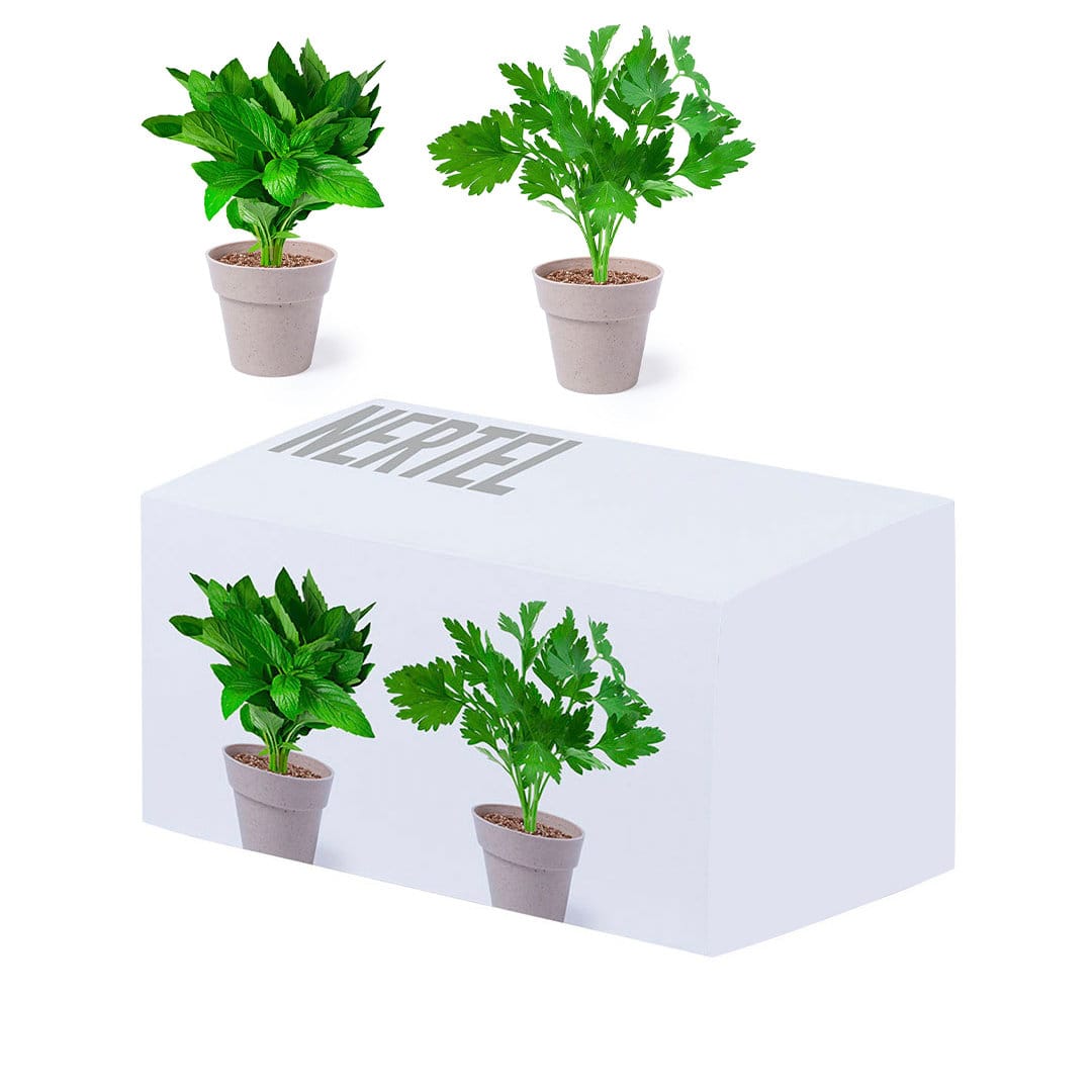 A flowerpot set featuring three green plants in beige pots, presented in a white box with a logo. Nertel Flowerpot Set - Image 1