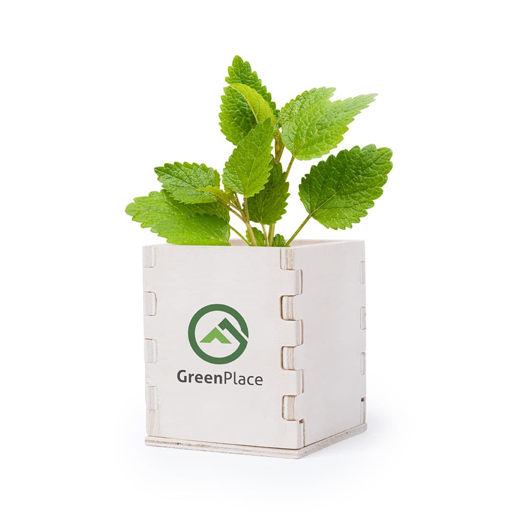 A wooden flowerpot with a logo, containing vibrant green leaves inside. Merin Flowerpot - Image 1