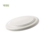 Ditul Frisbee