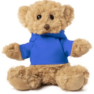 Loony Teddy