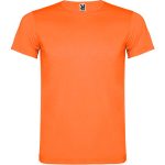 Akita T-Shirt