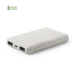 Shiden Power Bank