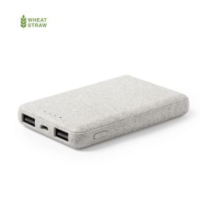 Shiden Power Bank
