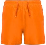 Aqua Swimming Shorts