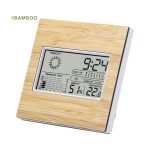 Behox Weather Station