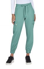 Terra Jogger
