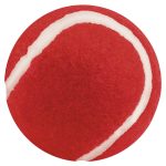 Niki Ball