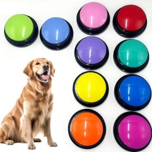 Sound Button