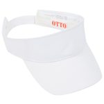 Sun Visor