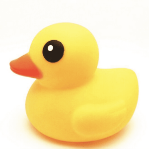 Rubber Duck