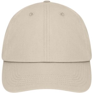 6 Panel Dad Cap