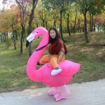 Halloween Flamingo Inflatable Costume