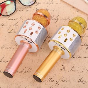 Multifunctional Microphone