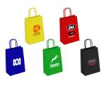 Small Coloured Kraft Paper Bag