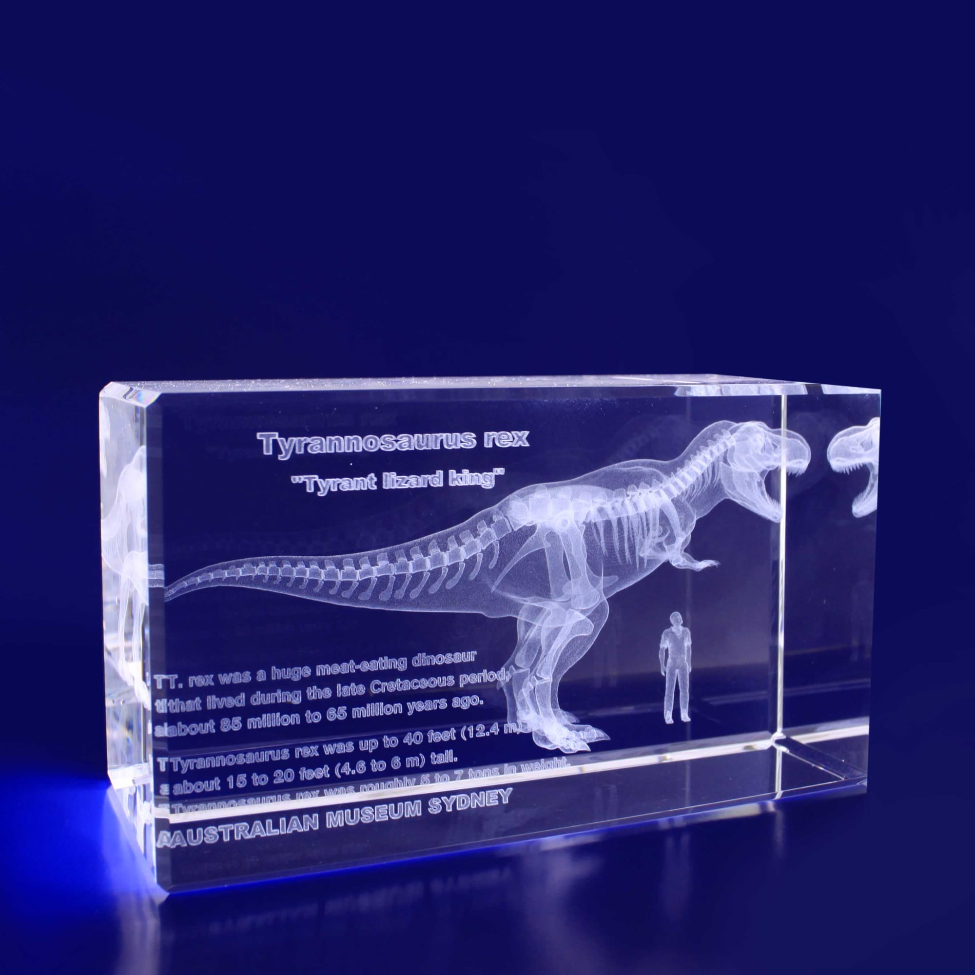 A clear 3D crystal rectangle featuring a Tyrannosaurus rex skeleton and a small figure, all set against a blue background. 3D Crystal Rectangle Classic - Image 1