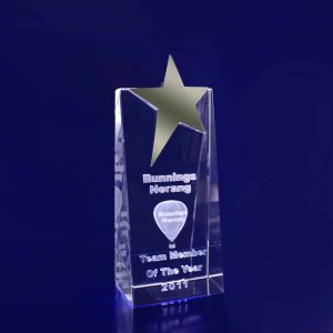 3D Crystal Star Wedge (170mm)
