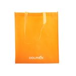 Non Woven Advertising Shopping Tote Bag