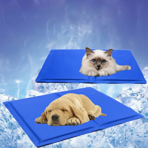 A blue pet cooling mat featuring a resting cat and puppy, surrounded by an icy background. Small Pet Cooling Mat - Image 1
